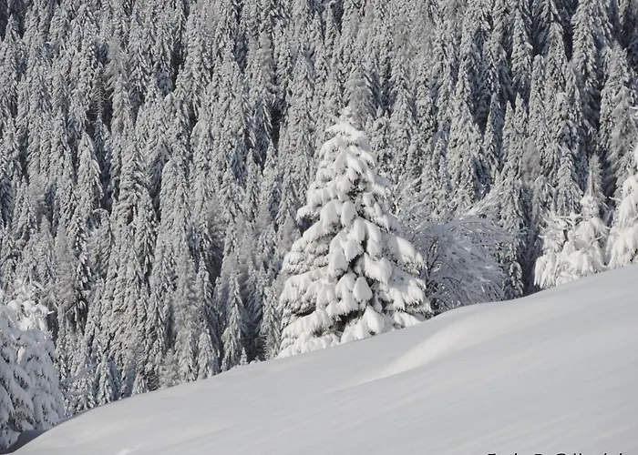 Apartment Casa Zulian *