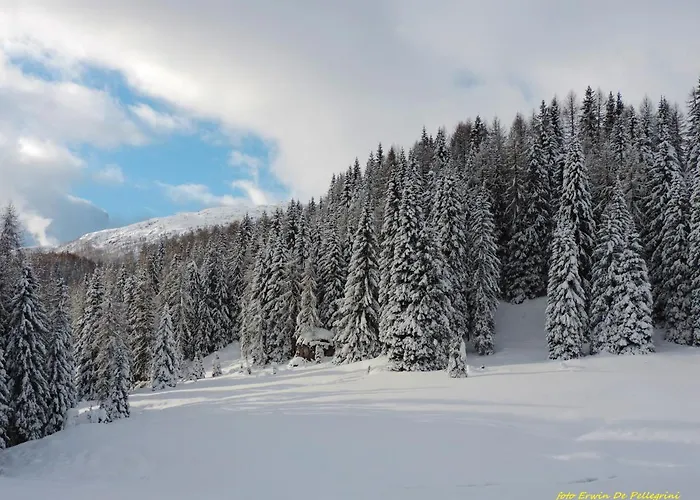 Casa Zulian Apartment *